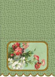 Mixed Primulas A5 Scallop Edge Card