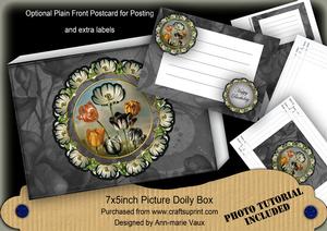 Black Tulips Doily 7x5in Presentation Box m Kit