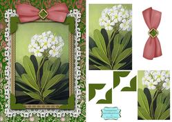 White Primula A5 Lace Card Front Step by Step