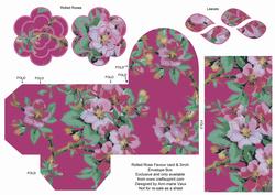 Cerise Col Blossom Rolled Rose 3in Favour/gift Box N' Card