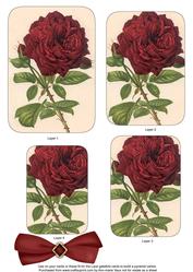 Red Rose Matching Lace Gatefold Toppers