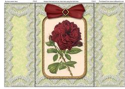 Red Rose Lace Gatefold Card