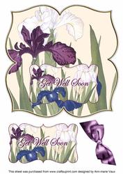 Iris Get Well Soon 8in Large Blooms Fancy Topper