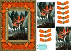 Birds of Paradise A5 Lace N Bows Card Front Step by Step