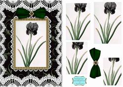 Black Iris A5 Lace Card Front Step by Step