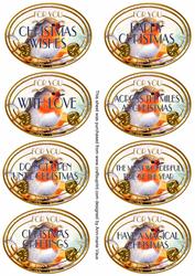 Blue Robin Christmas Oval Fancy Tag Sentiments