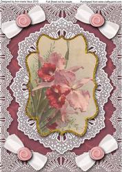 Pink Orchids A4 Lace Bracket Picture Sheet