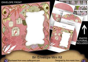 Pink Birdcage 8in Envelope Mini Kit