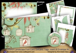 Birdcage Mint 7x5inch Landscape Card & Envelope Mini Kit