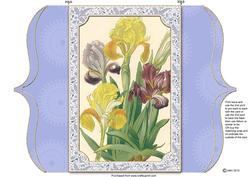 Iris Bunch Bracket Shaped Lace Card