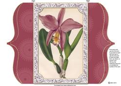 Dusky Pink Orchid Bracket Shaped Lace Card