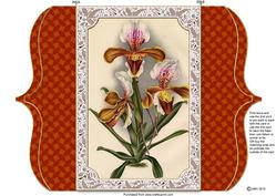 Tiger Lily Orchids Bracket Shaped Lace Card