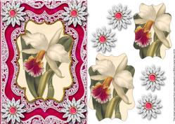 Single White Ochid A5 Lace Card Front Step by Step