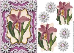 Single Purple Orchid A5 Lace Card Front Step by Step
