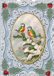 Christmas Blue Tits A4 Lace Picture Sheet