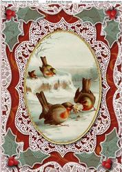 Robins Tug of Love A4 Lace Picture Sheet