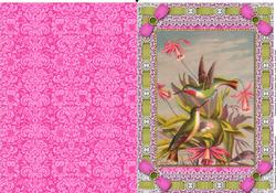 Beautiful Birds Lace Eyelet A5 Folded Card