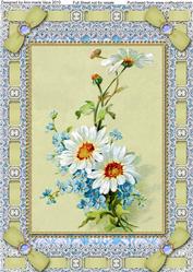 Blue Daisies Lace Eyelet A4 Picture Sheet