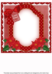 Red Robin Festive Wishes 8x8inch Fancy Insert Panel