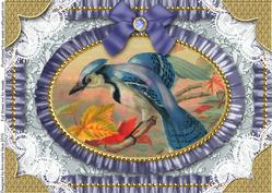 Kingfisher Lace N Ruffles A4 Picture Sheet