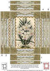 White Orchids Spiral Edge Stacker 7x5in Card Front