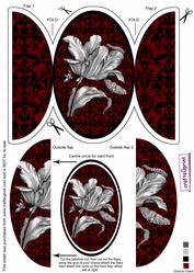 Black Tulip Round Gatefold Card & Topper