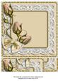 Cream Rose Bud Spray 8x8inch Square Card Front