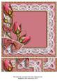 Pink Rose Bud Spray 8x8inch Square Card Front