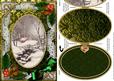 Winter Snow Scene Holly Christmas A5 Locket Card Front