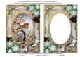 Robin 1 Snow 7x5in Picture and Shaker Frame