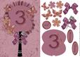 Plum Butterfly Fan Numbered 3 Occasion Card Front Decoupage