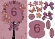 Plum Butterfly Fan Numbered 6 Occasion Card Front Decoupage
