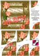 March Tulips Birthday Gold 6in Duo Corner Stacker