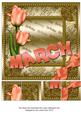 March Tulips Gold Birthday 8inch Picture Sheet