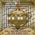 Gold 100th Birthday 8inch Square Tunnel Kit