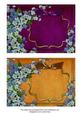 Forget-me-knots Purple and Gold Duo 7x5in Card Front Bases