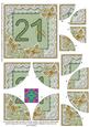 Green Butterfly 21st Birthday 5in Round Corner Stacker