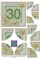 Green Butterfly 30th Birthday 5in Round Corner Stacker