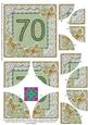Green Butterfly 70th Birthday 5in Round Corner Stacker