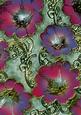 Blue 6 Giant Florals A4 Backing Paper