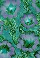 Blue Lilac 2 Giant Florals A4 Backing Paper