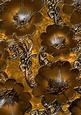 Gold 3 Giant Florals A4 Backing Paper