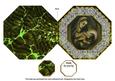 Mother Mary Octagon Lace Picture Fold Card