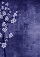Vintage Oriental Blue Blossom A4 Backing Paper