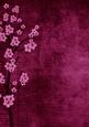 Vintage Oriental Dark Pink Blossom A4 Backing Paper