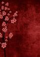 Vintage Oriental Deep Plum Blossom A4 Backing Paper