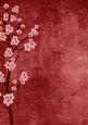 Vintage Oriental Deep Red Blossom A4 Backing Paper