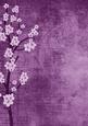 Vintage Oriental Lilac Blossom A4 Backing Paper