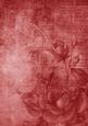 Vintage Tea Rose Red A4 Backing Paper