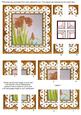 Natural Iris Anglaise 5in Quad Corner Stacker